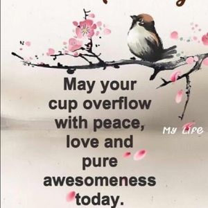 Meet your Posher, Davidson